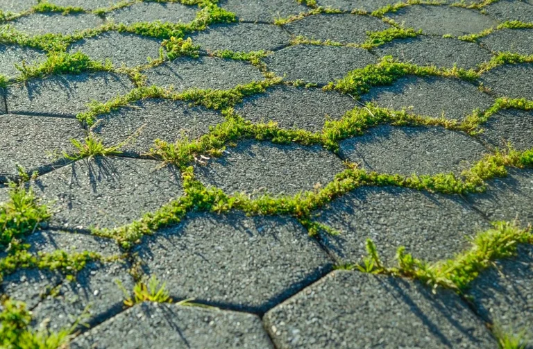 Keunggulan Paving Block Jogja Dibanding Cor Beton untuk Halaman